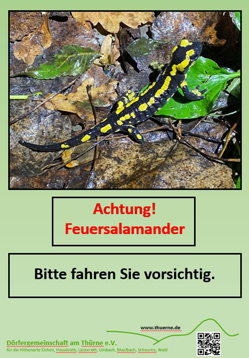 Unser Backes